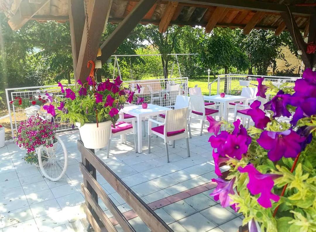 Maslina Rooms Smederevo Exterior photo