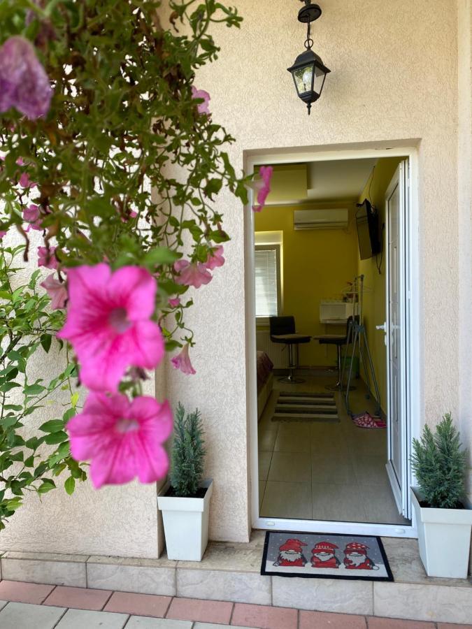 Maslina Rooms Smederevo Exterior photo