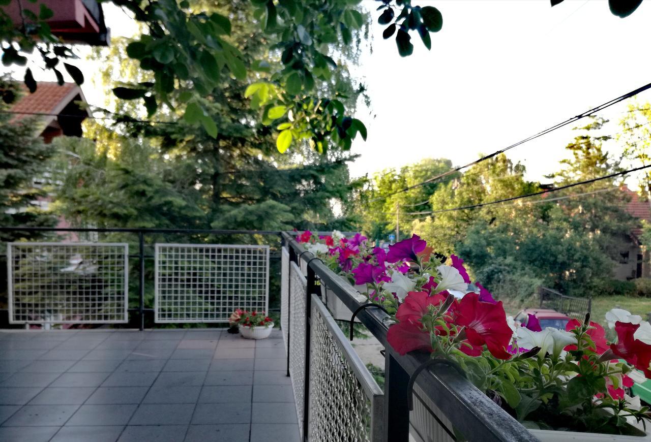 Maslina Rooms Smederevo Exterior photo